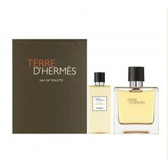 Komplekt Hermes Terre D'Hermes meestele: tualettvesi EDT, 100 ml + dušigeel, 80 ml цена и информация | Мужские духи | hansapost.ee