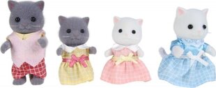 Kуклы Sylvanian Families 5455 The Persian Cat Family цена и информация | Игрушки для девочек | hansapost.ee