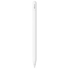 Apple Pencil (USB-C) - MUWA3ZM/A цена и информация | Аксессуары для планшетов, электронных книг | hansapost.ee
