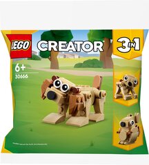 30666 LEGO® Creator Loomad - kingitus hind ja info | Klotsid ja konstruktorid | hansapost.ee