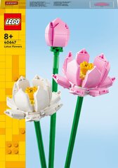 40647 Кольца лотоса LEGO® Iconic цена и информация | Конструкторы и кубики | hansapost.ee