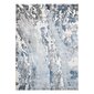 Flhf vaip Elija Abstract 4 240x350 cm цена и информация | Vaibad | hansapost.ee