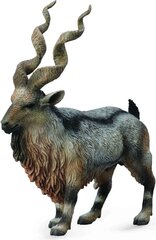 Kuju CollectA Tadžiki Markhor 88641 hind ja info | Mänguasjad poistele | hansapost.ee