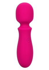 Vibraator Bliss Mini Wand, roosa hind ja info | Vibraatorid | hansapost.ee