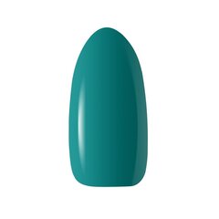 Стойкий гибридный гель лак для ногтей CLARESA WARMIN" FALL 2, 5 г цена и информация | Лаки для ногтей, укрепители для ногтей | hansapost.ee