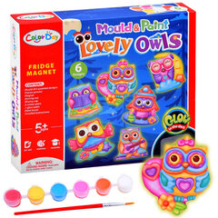Loominguline magnetikomplekt Color Day hind ja info | Arendavad laste mänguasjad | hansapost.ee