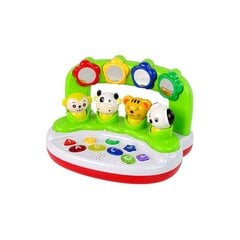 Interaktiivne muusikaline mänguasi Lean Toys, roheline цена и информация | Игрушки для малышей | hansapost.ee