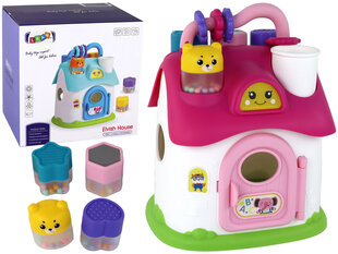 Interaktiivne maja - sorteerija Lean Toys, roosa цена и информация | Развивающие игрушки для детей | hansapost.ee