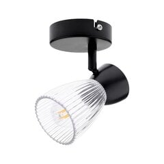 Потолочный светильник Milagro Best ML9970 цена и информация | Потолочные светильники | hansapost.ee