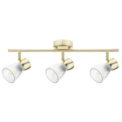 Milagro laevalgusti Best ML9976 price and information | Ceiling lamps | hansapost.ee