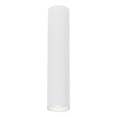 светильник, 1xgu10, 30 см, белый цена и информация | Потолочные светильники | hansapost.ee