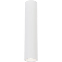 светильник, 1xgu10, 30 см, белый цена и информация | Потолочные светильники | hansapost.ee