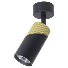 Потолочный светильник Milagro Neo ML0280 цена и информация | Потолочные светильники | hansapost.ee