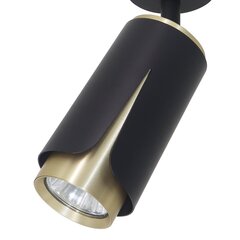 Потолочный светильник Milagro Flower ML0264 цена и информация | Потолочные светильники | hansapost.ee