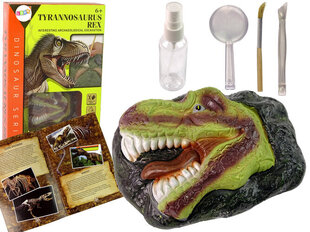 Hariv dinosauruste kaevamiskomplekt Lean Toys цена и информация | Игрушки для мальчиков | hansapost.ee