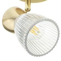 Потолочный светильник Milagro Best ML9974 цена и информация | Потолочные светильники | hansapost.ee