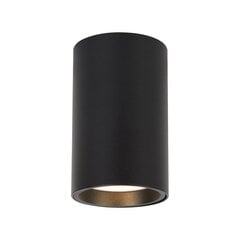 Milagro laevalgusti Genesis ML0381 price and information | Ceiling lamps | hansapost.ee