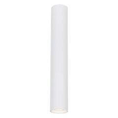светильник, 1xgu10, 40 см, белый цена и информация | Потолочные светильники | hansapost.ee