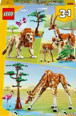 31150 LEGO® Creator Wild Safari Animals metsikud safariloomad hind ja info | Klotsid ja konstruktorid | hansapost.ee