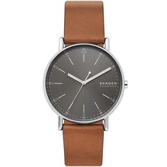 Мужские часы Skagen SKW6578 цена и информация | Мужские часы | hansapost.ee