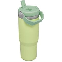 Термобутылка с соломинкой The IceFlow Flip Straw Tumbler 0,89 л белая цена и информация | Термосы, термокружки | hansapost.ee