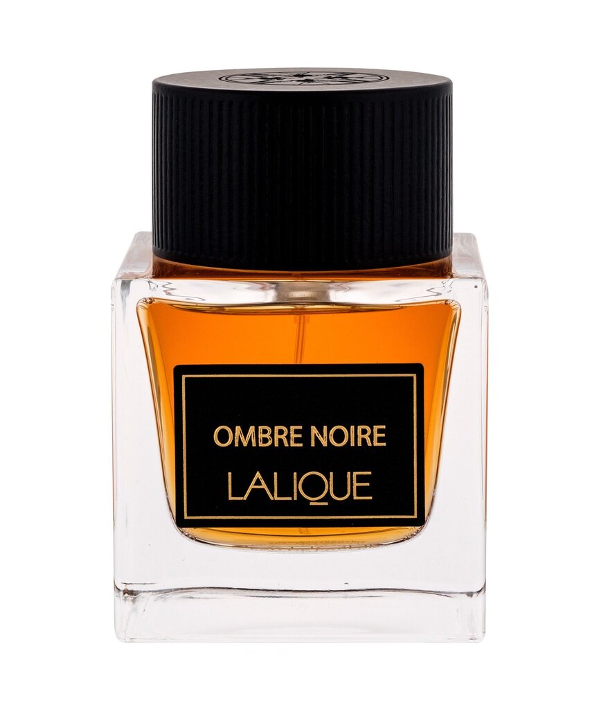 Parfüümvesi Lalique Ombre Noire EDP meestele, 100 ml цена и информация | Parfüümid meestele | hansapost.ee