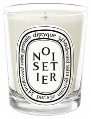 Ароматическая свеча Diptyque Noisetier, 190 г цена и информация | Подсвечники, свечи | hansapost.ee