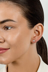 Hõbedast kõrvarõngad naistele Brilio Silver EA585/6/7/8Y sBS2442-7 hind ja info | Kõrvarõngad | hansapost.ee