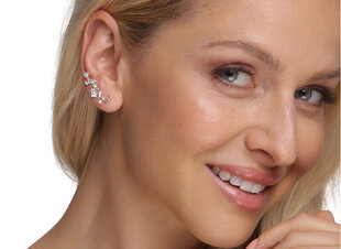 JwL Luxury Pearls Красивые продольные серьги с кристаллами JL0611 sJL0611 цена и информация | Серьги | hansapost.ee