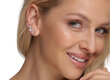 Hõbedast kõrvarõngad naistele JwL Luxury Pearls JL0611 sJL0611 hind ja info | Kõrvarõngad | hansapost.ee