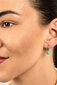 Opaaliga hõbekõrvarõngad naistele Brilio Silver EA387WG sBS1903 цена и информация | Kõrvarõngad | hansapost.ee