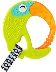 Närimislelu Chicco Water Toucan, 6m+ цена и информация |  Прорезыватели | hansapost.ee