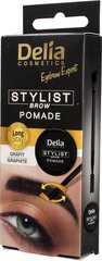 Kulmupumat Delia Cosmetics Eyebrow Expert Graphit, 2,5 g hind ja info | Kulmupliiatsid, -puudrid ja -värvid | hansapost.ee
