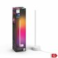 Sujuva toonivahetusega laualamp Philips Hue Gradient Signe, valge EU/UK hind ja info | Laualambid | hansapost.ee