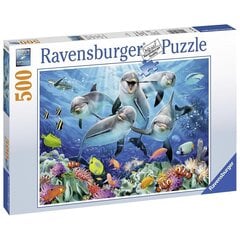 Pusle Ravensburger Delfiinid, 500 tk. hind ja info | Pusled lastele ja täiskasvanutele | hansapost.ee