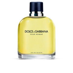Туалетная вода Dolce & Gabbana Pour Homme EDT для мужчин, 125 мл цена и информация | Мужские духи | hansapost.ee