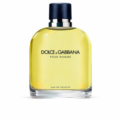 Tualettvesi Dolce & Gabbana Pour Homme EDT meestele, 75 ml hind ja info | Parfüümid meestele | hansapost.ee