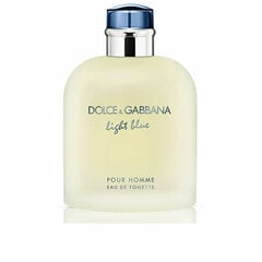 Tualettvesi Dolce & Gabbana Light Blue Pour Homme EDT meestele, 200 ml hind ja info | Parfüümid meestele | hansapost.ee