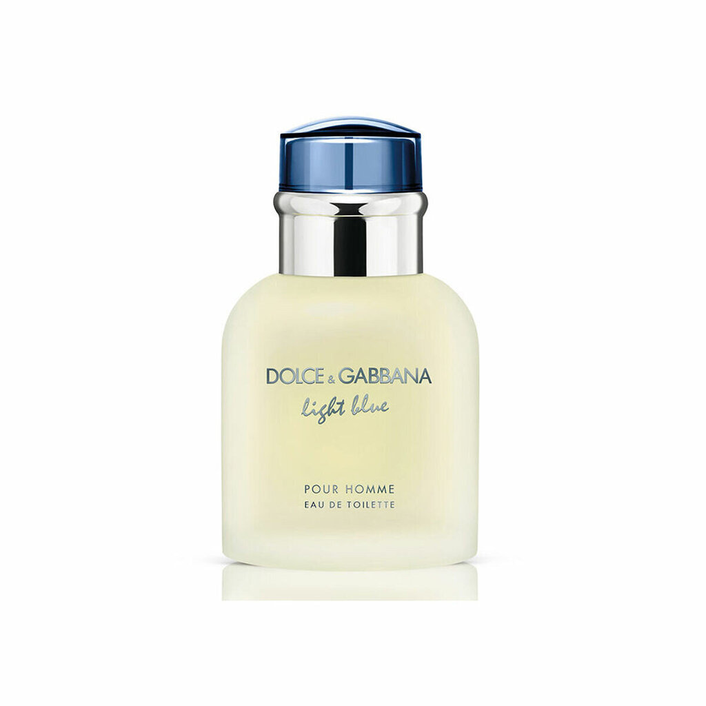 Meeste tualettvesi Dolce & Gabbana Light Blue Pour Homme EDT meestele, 40 ml цена и информация | Parfüümid meestele | hansapost.ee