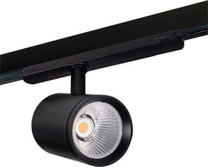Потолочный светильник Kanlux Acord ATL1 цена и информация | Kanlux Освещение | hansapost.ee