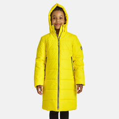 Huppa зимнее пальто для девочек NINA 300г, желтый цвет цена и информация | Зимняя одежда для детей | hansapost.ee