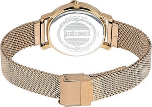 Käekell naistele Just Cavalli JC1L212M0245 цена и информация | Женские часы | hansapost.ee