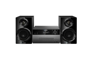 Blaupunkt MS50BT цена и информация | Музыкальные центры | hansapost.ee