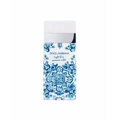 Tualettvesi Dolce & Gabbana Light Blue Summer vibes EDT naistele, 100 ml hind ja info | Parfüümid naistele | hansapost.ee