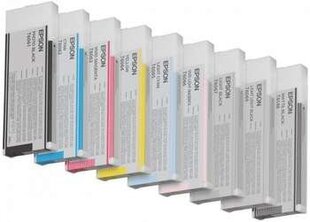 EPSON ink vivid light magenta Stylus4880 цена и информация | Картриджи для струйных принтеров | hansapost.ee