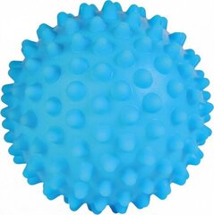 Игольчатый мячик Trixie, 16 см цена и информация | Игрушки для собак | hansapost.ee
