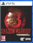 Shadow Warrior 3 Definitive Edition, PS5 цена и информация | Konsooli- ja arvutimängud | hansapost.ee