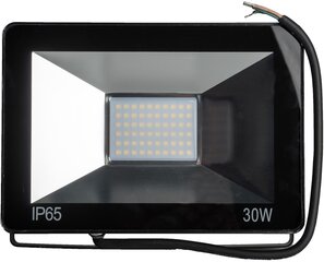 Omega LED prožektor 30W 4200K (43861) hind ja info | Omega Sport, puhkus, matkamine | hansapost.ee