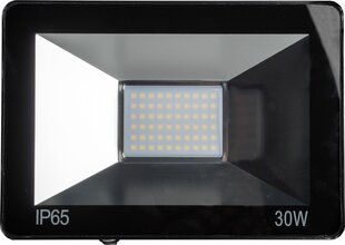 Omega LED prožektor 30W 4200K (43861) hind ja info | Omega Sport, puhkus, matkamine | hansapost.ee