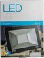 Omega LED prožektor 30W 4200K (43861) цена и информация | Pealambid, matkalambid | hansapost.ee